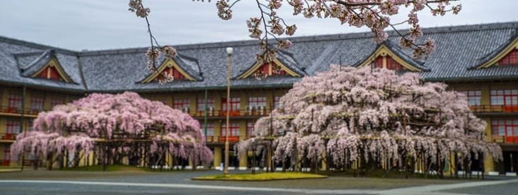 天理教の寺院