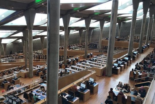 アレクサンドリア図書館収蔵具合